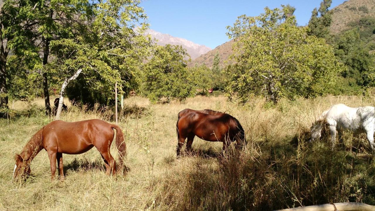 Cascada Lodge Cajon Del Maipo San José de Maipo Buitenkant foto